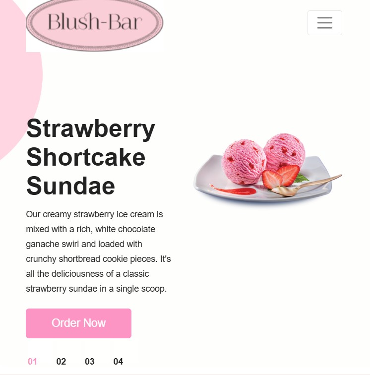 Image of Blush Bar Website